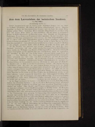 Aus dem Larvenleben der heimischen Insekten.