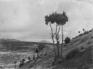 Landschaft : Gebiet des Monti Rossi am Ätna