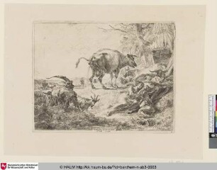 [Die pissende Kuh; The Cow Pissing; La vache qui pisse]