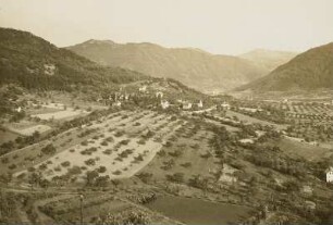 Schreckenstein, Obstbau