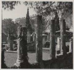 Rom, Ausgrabungen auf dem Largo di Torre Argentina