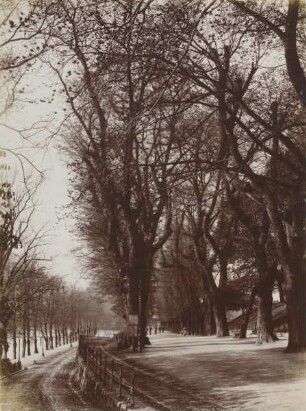 Wasserallee in Kiel