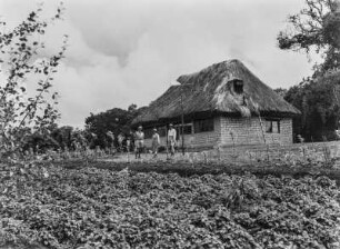 Plantage : Gebäude einer Plantage