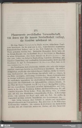 XVI. Pflanzenreste zweifelhfter Verwandtschaft, von denen nur die äussere Beschaffenheit vorliegt, die Struktur unbekannt ist