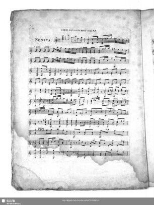 Lyre ou Guitare prima