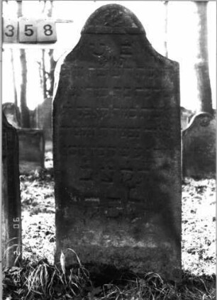 Grabstein 358 (Index: 100115761) Material: Sandstein Zustand: verwittert, linke obere Ecke ist abgebrochen Maße HxBxT: 153x56x12 cm Beschreibung: Stele mit konkav eingezogenem Rundbogenabschluß Symbolik: Blüte: Grabstein 358
