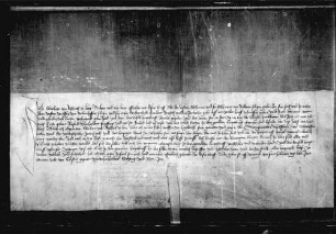 Eberhard von Reischach zu Linz bekennt, daß er anstatt Wolfs von Heggelbach Bürge geworden ist für die 150 fl. Gült, die Althans und Frischhans von Bodman dem Wolf von Bubenhofen am 5. Januar 1451 verkauft haben.