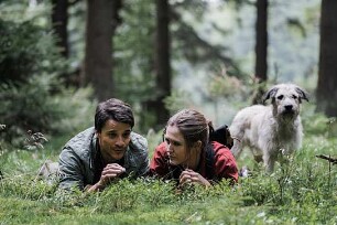Wuff - Folge dem Hund
