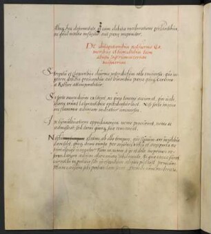 De divagationibus nocturnis clamoribus et tumultibus tum abusu instrumentorum musicorum.