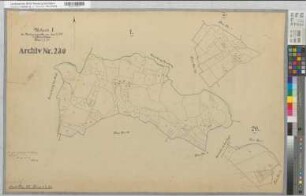 Epe (Gronau), Umlegung Epe, Urkarte 1 Heek Flur 1;2;20