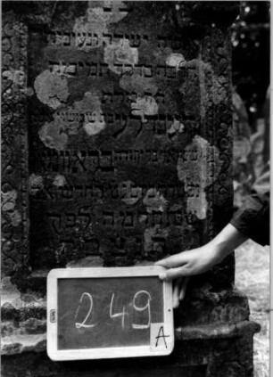 Grabstein 249 [Nir S. 159 Nr. 15.13]: Grabstein 249A [Nir S. 159 Nr. 15.13]