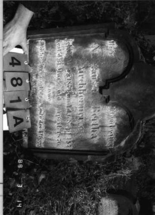 Grabstein 481 (Index: 100093130) Zustand: stark verwittert, Inschrift auf Vorderseite ist verloren Maße HxBxT: 72x58x22 cm Besonderheit: Doppelkindergrab für Geschwister: Grabstein 481A (Doppel von Nr 82008)