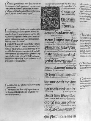 Psautier / Psalterium glosatum sine titulo / Psalterium glosatum / Psautier glosé / Psalter der Abtei Vauclair — Initial S, Folio fol. 115 v