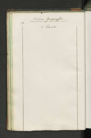 c. Labrador.