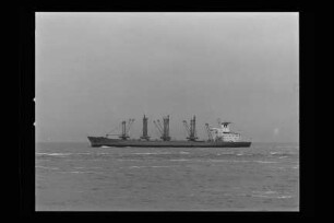 Merian (1973)
