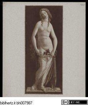 Venus