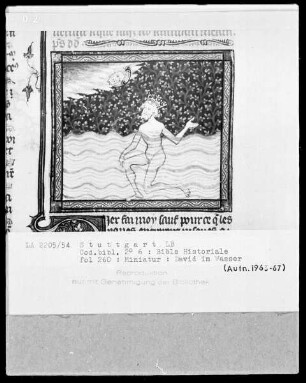 Bible Historiale — David im Wasser, Folio 260recto