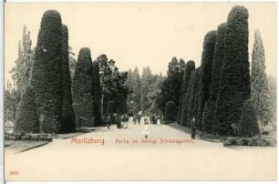 Moritzburg. Partie im Königlichen Schlossgarten