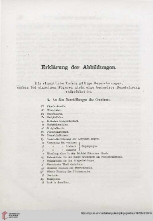 Erklärung der Abbildungen