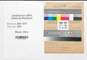 Entnazifizierung Dora Meyer , geb. 09.02.1895 ()