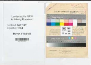 Entnazifizierung Friedrich Heyer , geb. 08.10.1908 (Richter)
