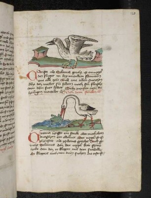 Vogel: Carista; Vogel: Storch; (Teil III B: Von den Vögeln)
