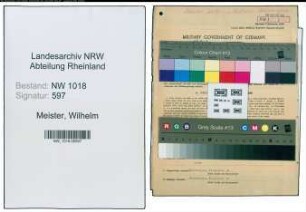 Entnazifizierung Wilhelm Meister , geb. 01.12.1890 (Schlosser)