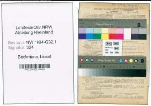 Entnazifizierung Liesel Beckmann , geb. 10.05.1902 (Techn.Assistentin)