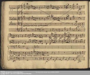 Cavatina: "Ho venduto tutte l'ova"