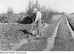 Colorado, Grand Valley, Landwirtschaft, Bewässerung, Grand Valley Project, Colorado