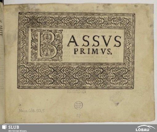 Bassus primus