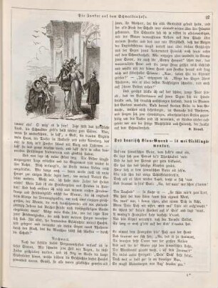 "Der Junker auf dem Schwalbenhofe"