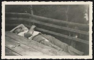 Carl Lohse im Garten : Carl Lohse im Garten auf einer Bank liegend. Fotografie, um 1935/1940. Dresden: SLUB Mscr.Dresd.App.2595,177