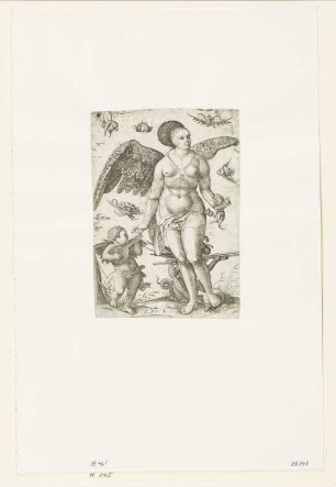 Venus und Amor