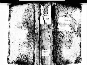 Ettenheim OG; Katholische Gemeinde: Geburtenbuch 1828-1849
