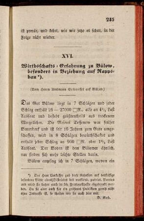 XVI. Wirthschafts-Erfahrung zu Bülow, besonders in Beziehung auf Rappsbau
