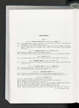 Figuren-Erklärung.