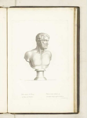 Buste antique de bronze. Au Palais des Thuilleries.