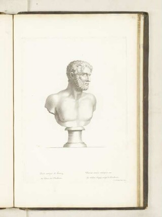 Buste antique de bronze. Au Palais des Thuilleries.
