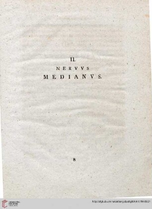 II: Nervus medianus