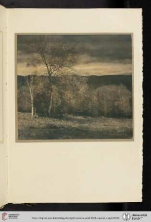 [Eduard J. [Jean] Steichen, XII. Landscape in Two Colors, color halftone reproduction]