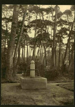 Waldfriedhof Brunnen