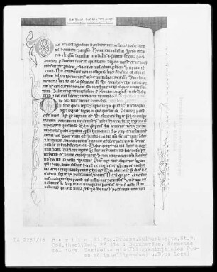 Bernhardus, Sermones quadragesimales — Initiale D (uas) und Initiale D (uo), Folio 104 verso