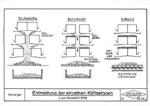Entmistung der einzelnen Käfigetagen