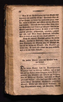 31. Die meisten Pflanzen nützen den Menschen durch ihre Blätter.