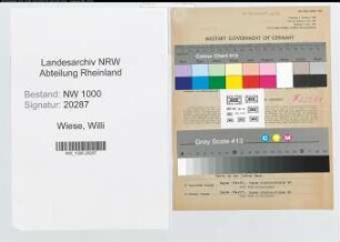 Entnazifizierung Willi Wiese, geb. 09.03.1901 (Reichsbahninspektor)