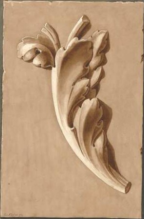 Zocher, Ernst; Studienzeichnungen nach Gipsen - florales Ornament (Ansicht)