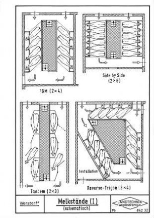 Melkstände (I) (schematisch)