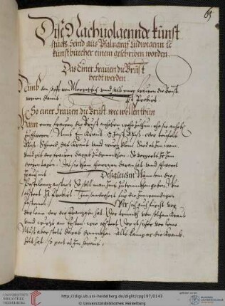 Pfalzgraf Ludwig VI. von der Pfalz, Gynäkologische Rezeptsammlung (42 Rezepte)