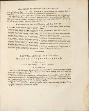 XXXVIII. Astragalus verus Oliv.